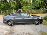Audi S5 TDI Sportback S-Sitze Leder Massage HUD B&O - Audi S5 Diesel Gebrauchtwagen
