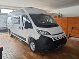 Chausson V 594 L FirstLine MJ 25 - Chausson Neu