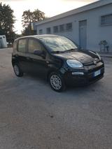 Fiat Panda 1.0 FireFly S&S Hybrid Launch Edition - Fiat Panda: La