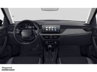 Skoda Kamiq - Vorschau Bild 6