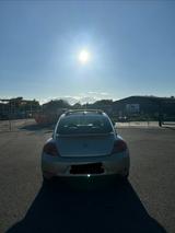 Volkswagen Beetle - Volkswagen New Beetle: Leder