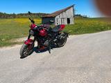 Triumph Trident 800 von Matthias Reim - Triumph Trident 800
