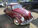 Volkswagen Käfer Export Faltdach 3. Hand restauriert  - Volkswagen Käfer: Faltdach