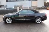Audi A5 Cabriolet 1.8 TFSI TOP - Audi A5 aus 2010: Cabrio