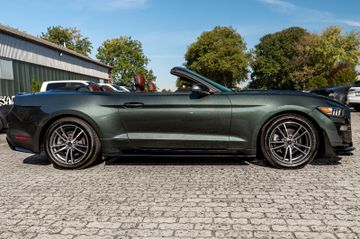 Ford Mustang - 5
