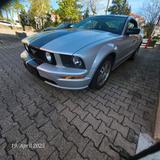Ford Mustang V8   1.Hand - Ford Mustang Gebrauchtwagen in Stuttgart
