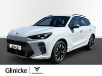 Cupra Terramar - Vorschau Bild 1