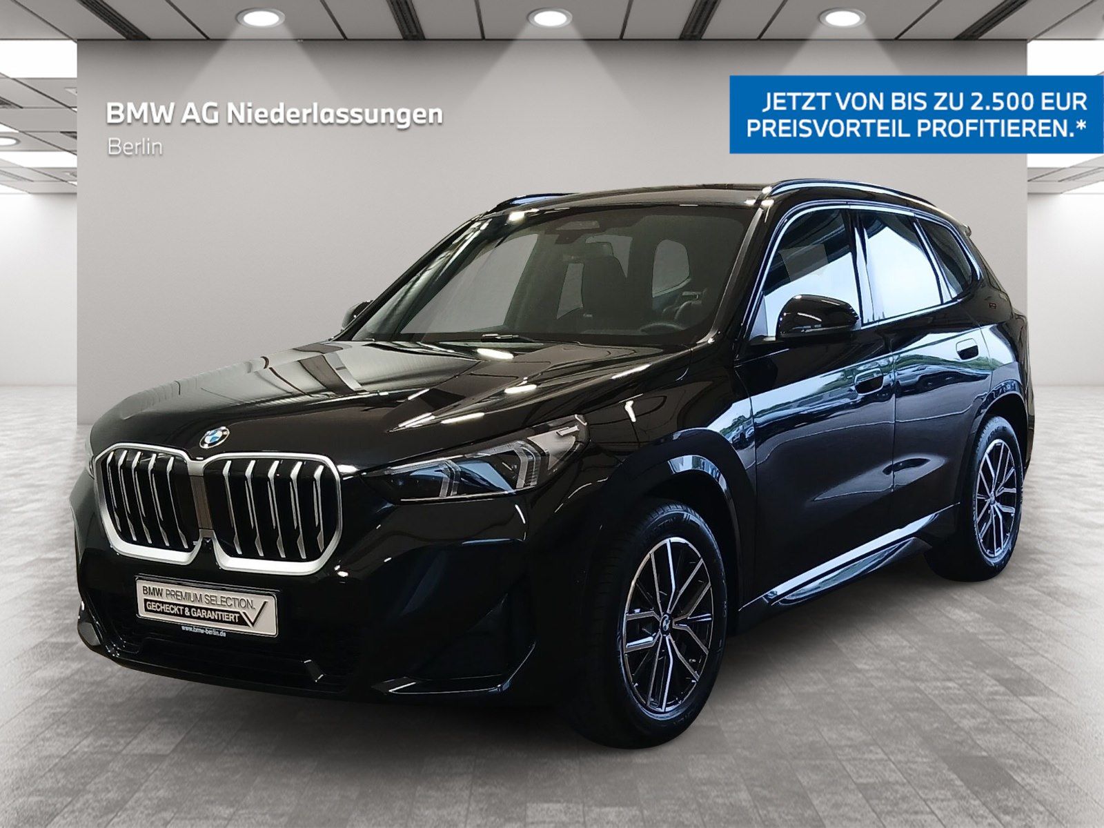 BMW X1 - Bild 1