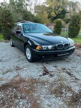 BMW 525i E39 sehr gepflegt - BMW 525: 525i E39