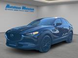 Mazda CX-30 Homura SKYACTIV-G 150 Aut. M Hybrid HUD Na - Mazda CX-30: Homura