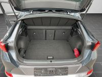 Cupra Formentor - Vorschau Bild 15