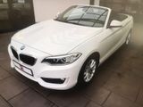BMW 218i Cabrio Advantage Advantage - BMW 218 aus 2016