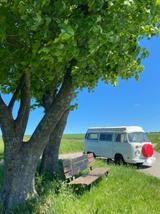 Volkswagen T2b Westfalia Riviera Camper  - Volkswagen T2: Westfalia
