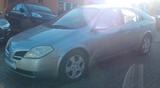 Nissan Primera Lim. Visia - Nissan Primera Gebrauchtwagen
