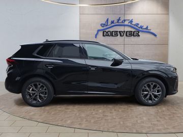 Cupra Terramar - 6