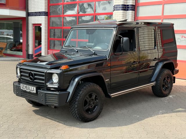 MERCEDES-BENZ G 350 D PROFESSIONAL,STAHL-STOSSSTANGE,SCHIEBE