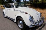 Volkswagen Cabriolet, 1500, Top Oldtimer - Volkswagen: 1500