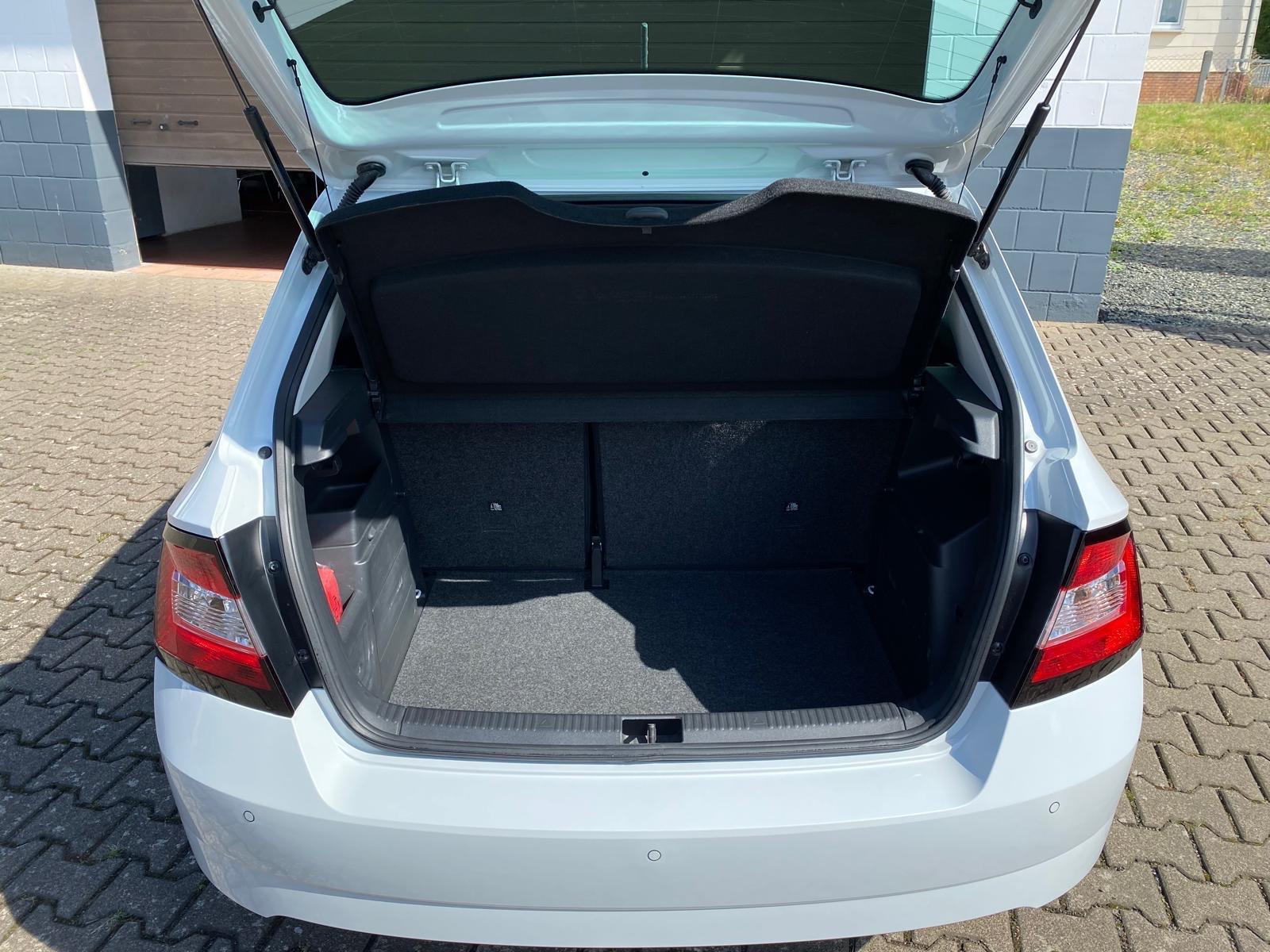 Skoda Fabia 1,2 Ltr. - 81 kW  Style *AUTOMATIK*