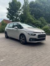 Citroën C4 Picasso PureTech 130 Stop&Start FEEL  - Citroën C4 Picasso von privat