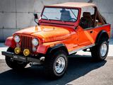 Jeep CJ7 V8 RENEGADE WERTGUTACHTEN 98.5K aus SAMMLUNG - Jeep CJ: Cj5