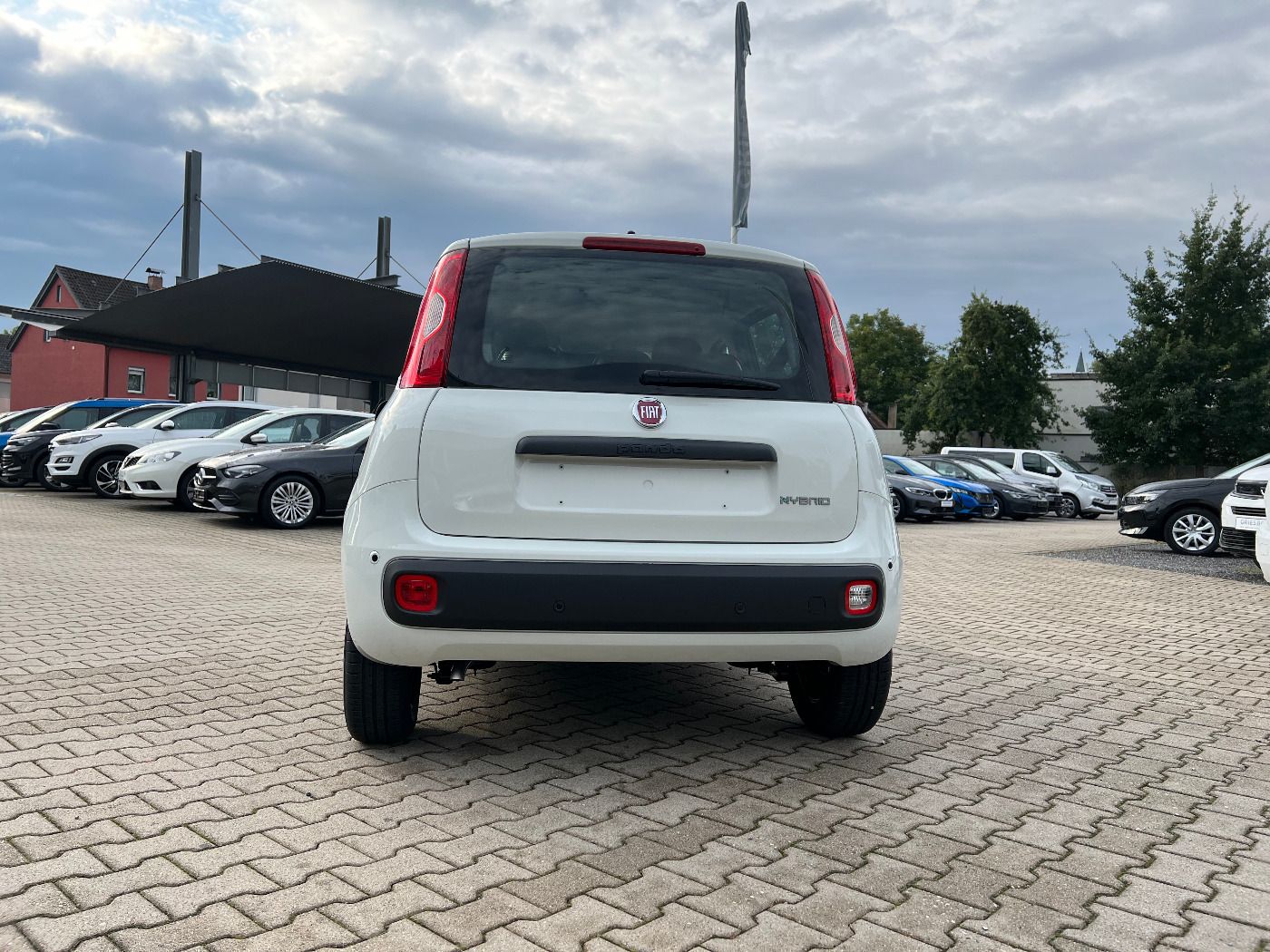 Fiat Panda Pandina 1.0 Hybrid Icon 5 Sitze Klima Radi imagem 3