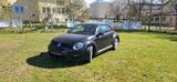 Volkswagen VW Beetle 1,2 Liter - gebrauchte VW Beetle aus dem Jahr 2011