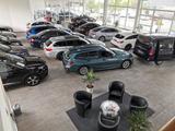 Ford Kuga Individual*Panorama*Leder*Navi*Xenon - Ford Gebrauchtwagen in Paderborn