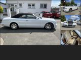 Bentley Azure Cabrio KLASSIKER Service NEU! 1 von 716 we - Bentley aus 2008: Cabrio