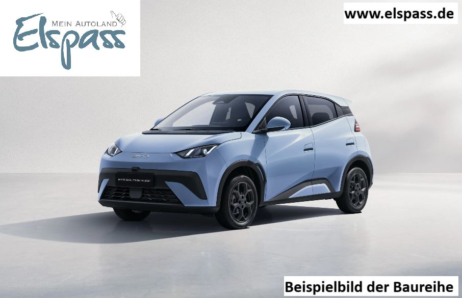 Dolphin Surf Comfort - Top Ausstattung