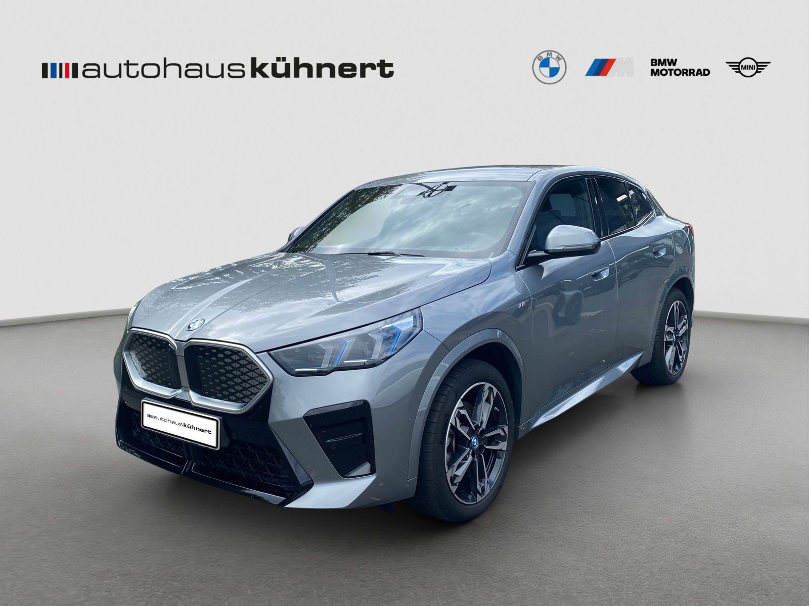 BMW iX2 xDrive30 M-Sport ACC SpurAss 360° AHK imagem 2