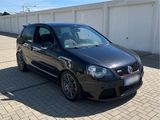 Volkswagen Polo Gti Cup Edition (Top Zustand) 1/800 (... - Volkswagen Polo: GTI Cup
