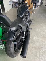 Indian Chief Dark Horse  - INDIAN CHIEF DARK HORSE