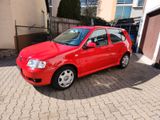Volkswagen Polo Edition *Automatick*TÜV* Scheckheft*1A Zust - Volkswagen Polo: Automatic