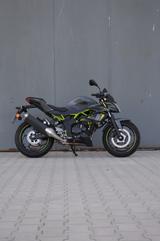 Kawasaki Evas treue Z125 Baujahr 2023 - KAWASAKI VON 81 BIS 125 CCM