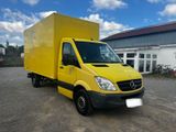 Mercedes-Benz Sprinter 313 CDI Blatt/Blatt Motorschaden - Angebote entsprechen deinen Suchkriterien