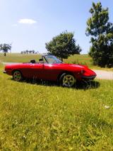 Alfa Romeo Spider - Alfa Romeo aus 1975