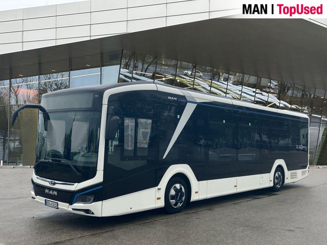 MAN LION'S CITY / 12E