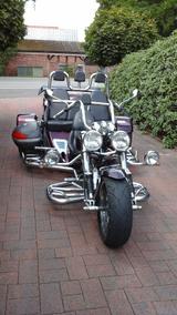 Boom Mustang-Family - Offers