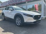Mazda CX-30 Selection 2WD Navi Kamera Head up - Mazda CX-3 in Frankfurt (Main)