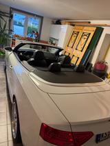 Audi S5 3.0 TFSI S tronic quattro Cabriolet - - Audi S5 Gebrauchtwagen