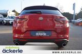 Alfa Romeo Stelvio Business Q4 I Winter,-Assistenz,-Komfort - Alfa Romeo aus 2020