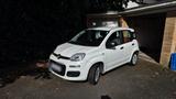 Fiat Panda 1.2 mit 71.000km Tüv neu - Fiat Panda Gebrauchtwagen in Hamburg