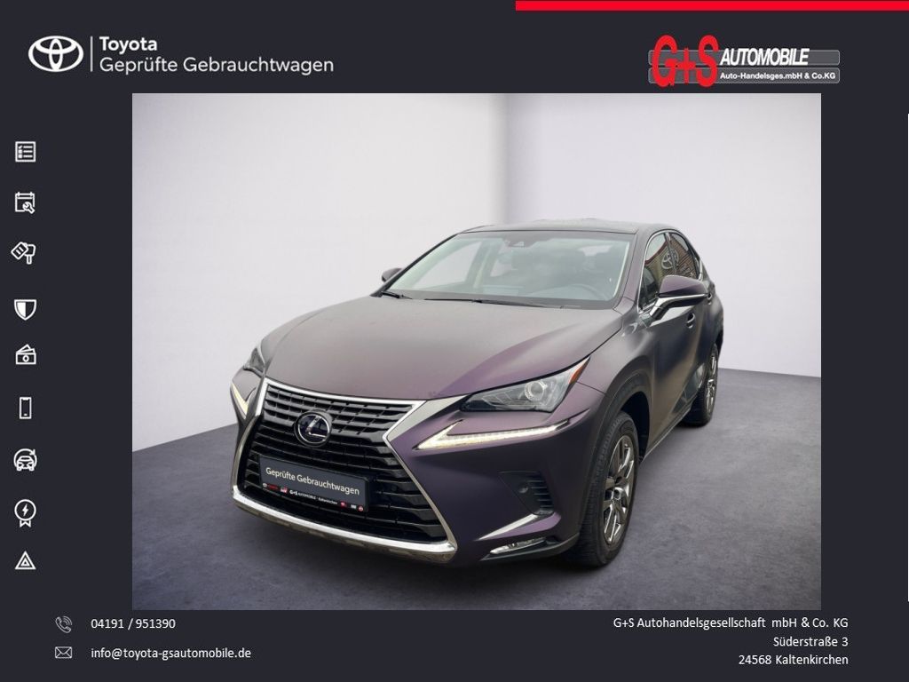 LEXUS NX 300