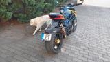 MV Agusta Brutale Dragster 800 RR - MV AGUSTA BRUTALE 800 RR