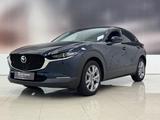 Mazda CX 30 Takumi BLOP *360°*Leder*LHZ