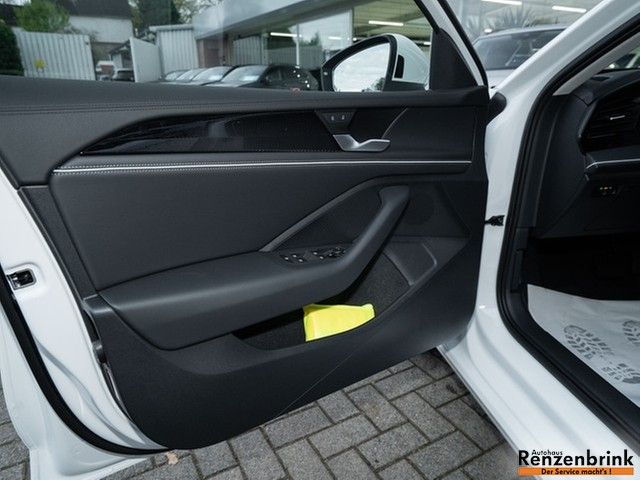 Passat Variant Business TDI DSG AHK ergoActive
