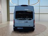 Ford Transit Bus 460 L4H3 17-Sitzer UPE=87000Euro!    - Ford Transit: Sitzer