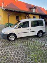 Volkswagen Caddy Life 1.4 5-Sitzer Standard - Volkswagen Caddy: Standard