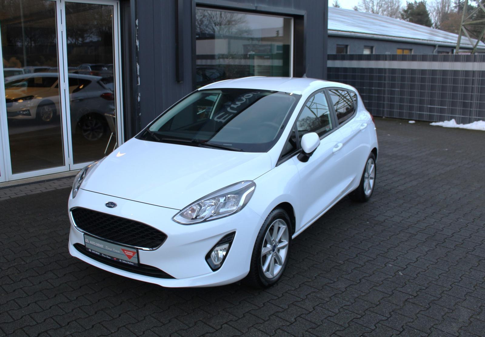 Ford Fiesta 1.0 EcoBoost, LED, Navi, AllWetter