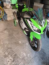 Kawasaki Ninja 300 ABS - SPORTLER VON 251 BIS 500 CCM